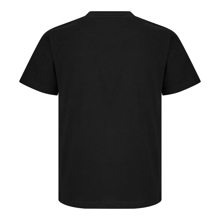 Minecraft | EnderDragon | Kids | Black T-Shirt | 5-6YR