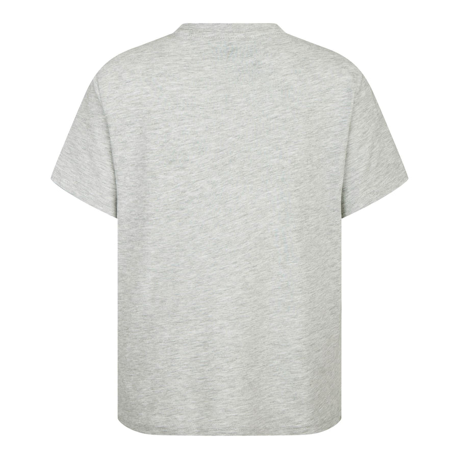FORTNITE | LLAMA | Grey | Short Sleeved | Unisex Kids | Crew | Gaming Cotton T-Shirt Sizes 10 - 16 Years