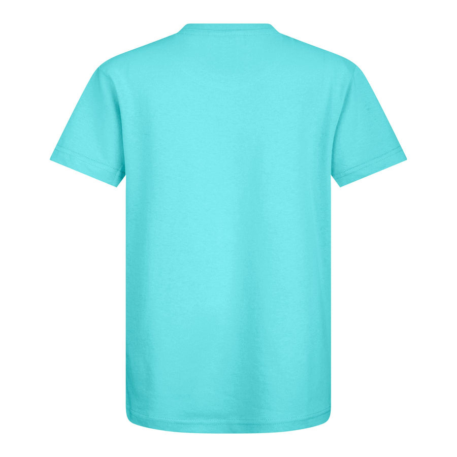 FORTNITE | ALPACA | Blue | Short Sleeved | Unisex Kids | Crew | Gaming Cotton T-Shirt Sizes 7 - 14 Years
